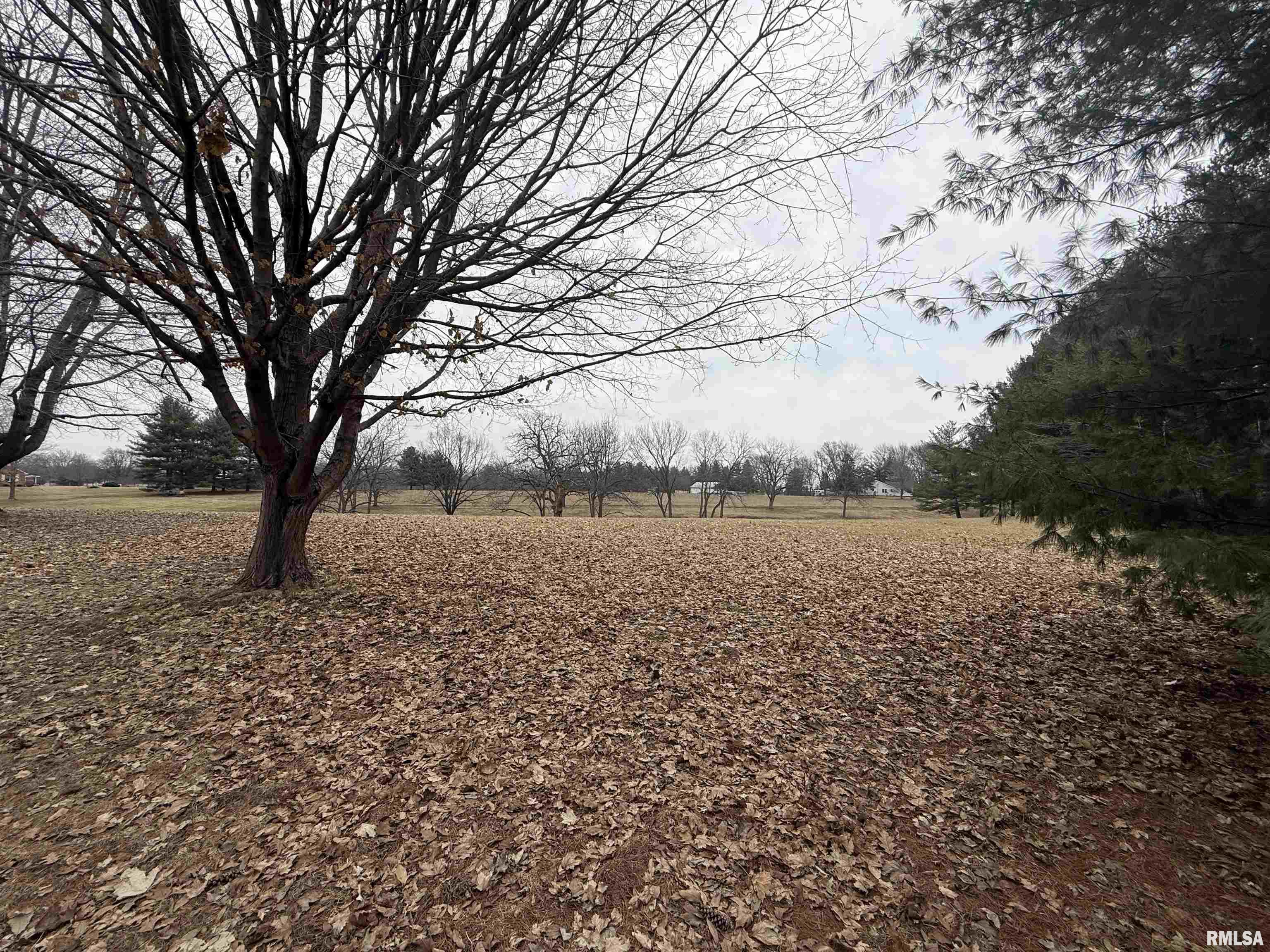 8 +/- Acres S Old Covered Bridge Lane