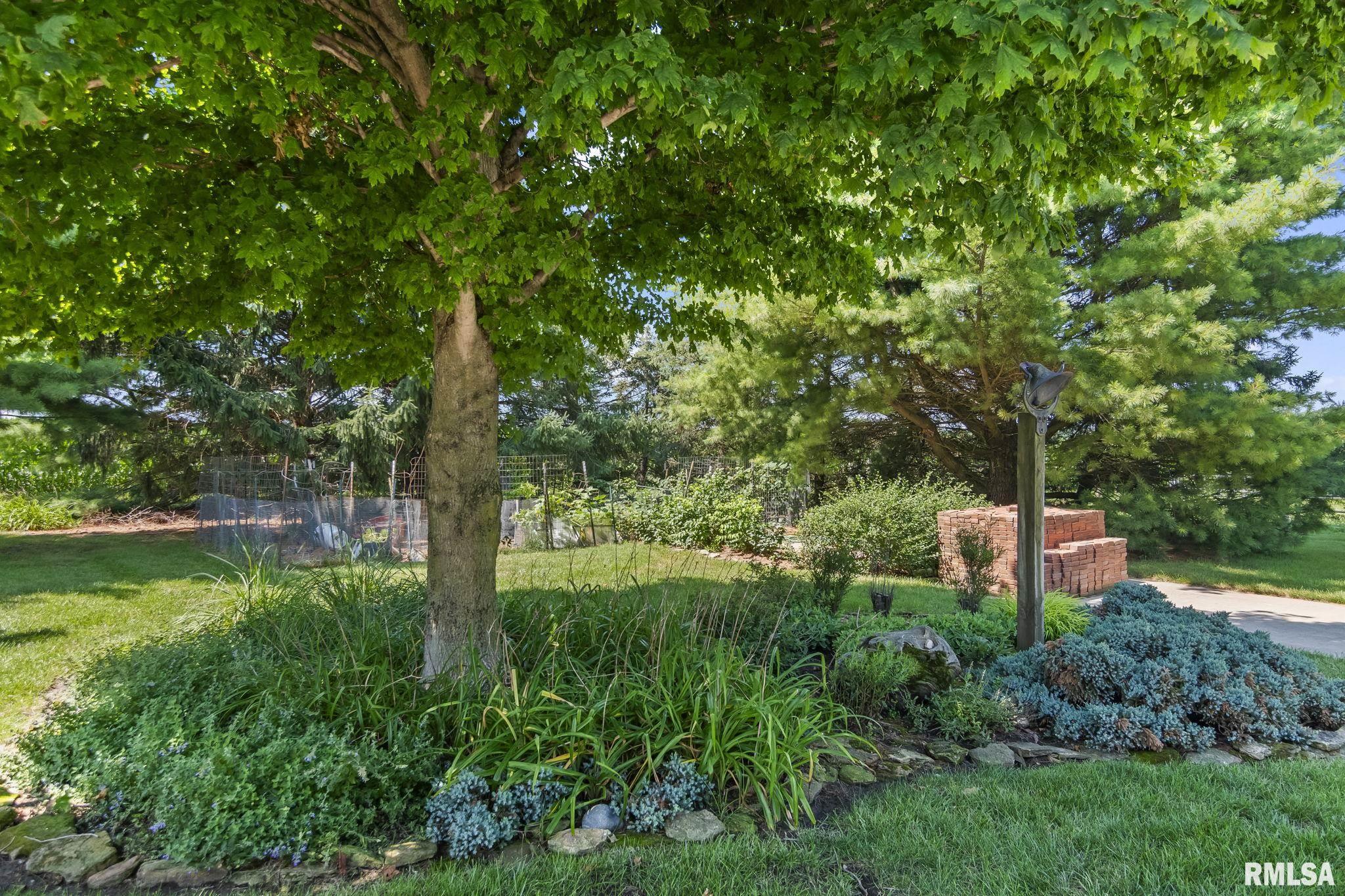 1998 CHELSEA Drive