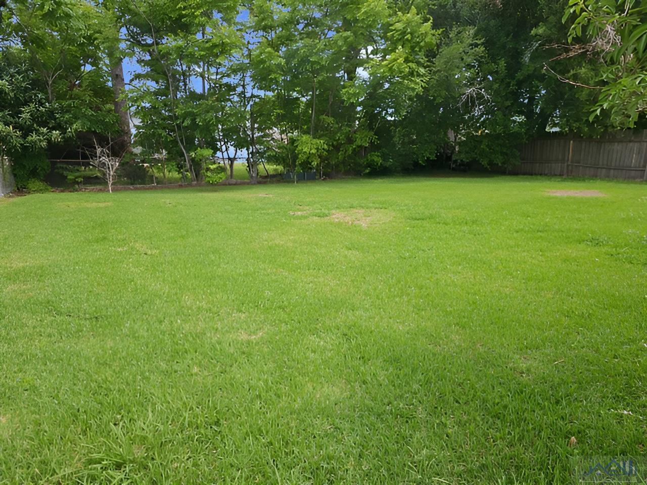 113 Hackberry St