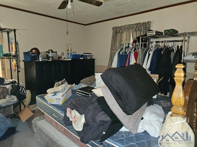 1119 East Camellia Drive
