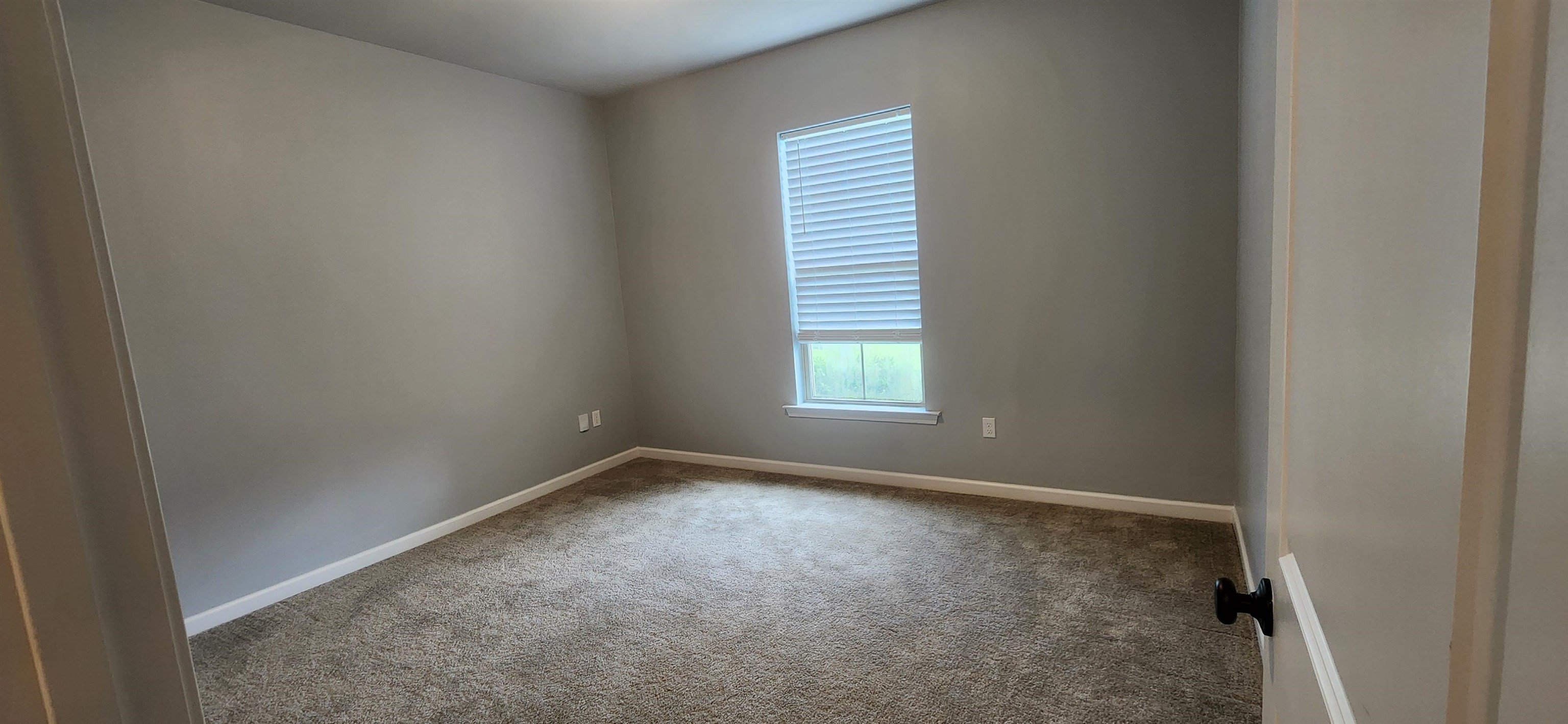 141 Cesare Drive