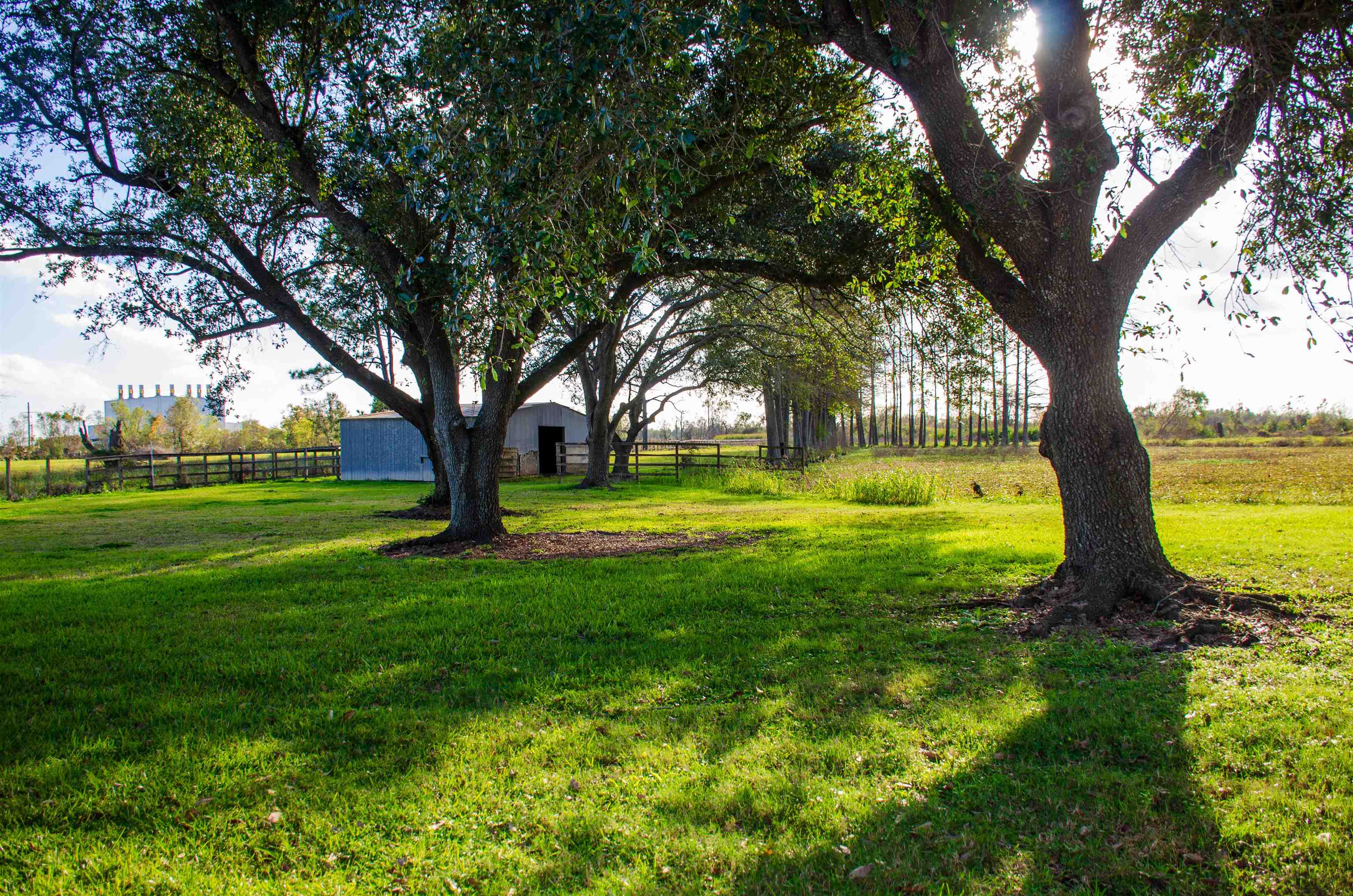 317 Bayou Blue Rd