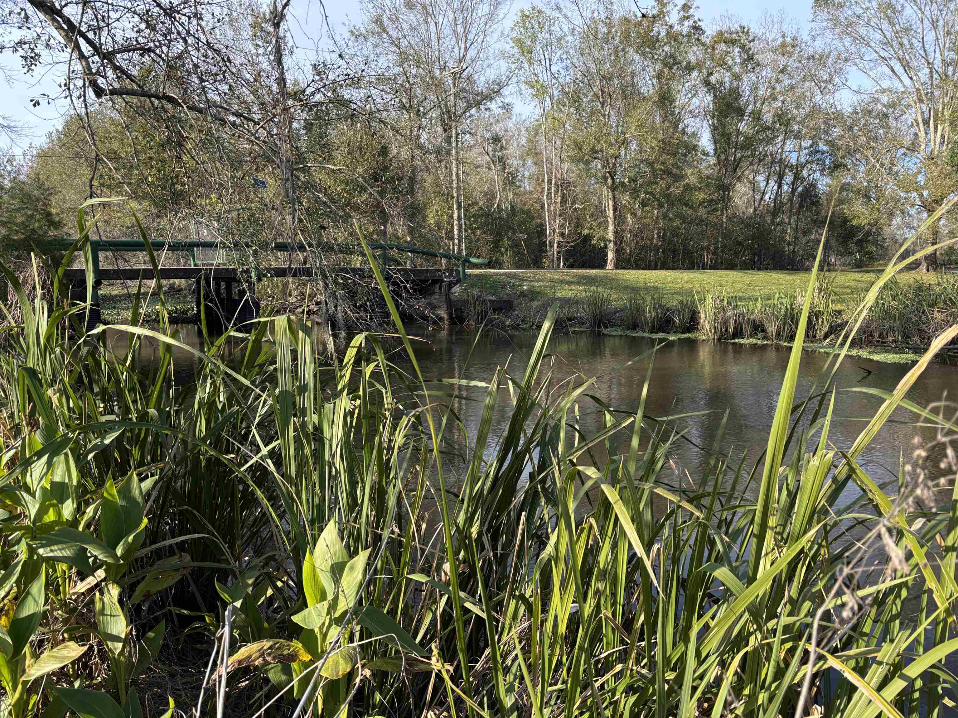314 Hidden Acres