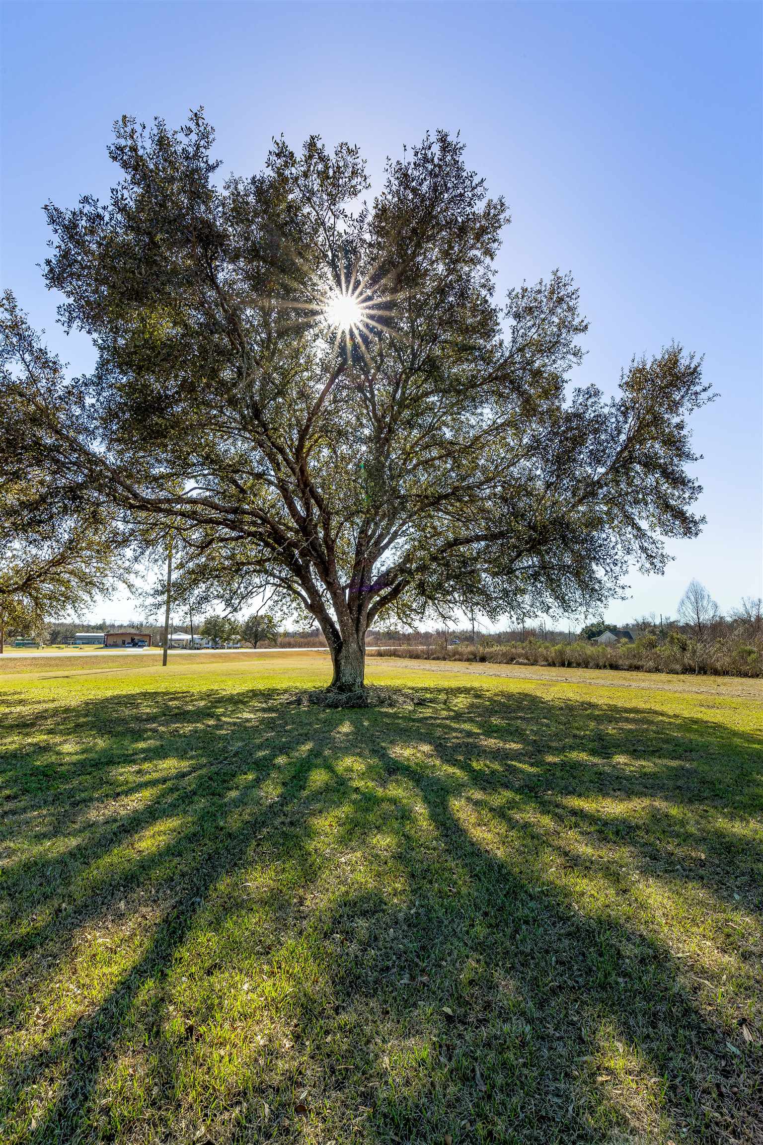 876 Highway 398