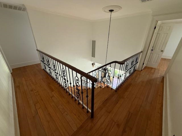 107 Krumbhaar Circle