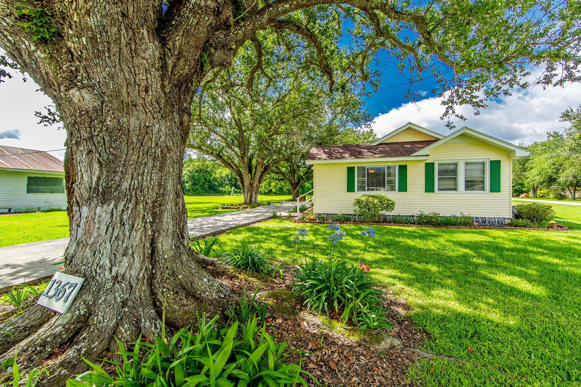 1367 Highway 304