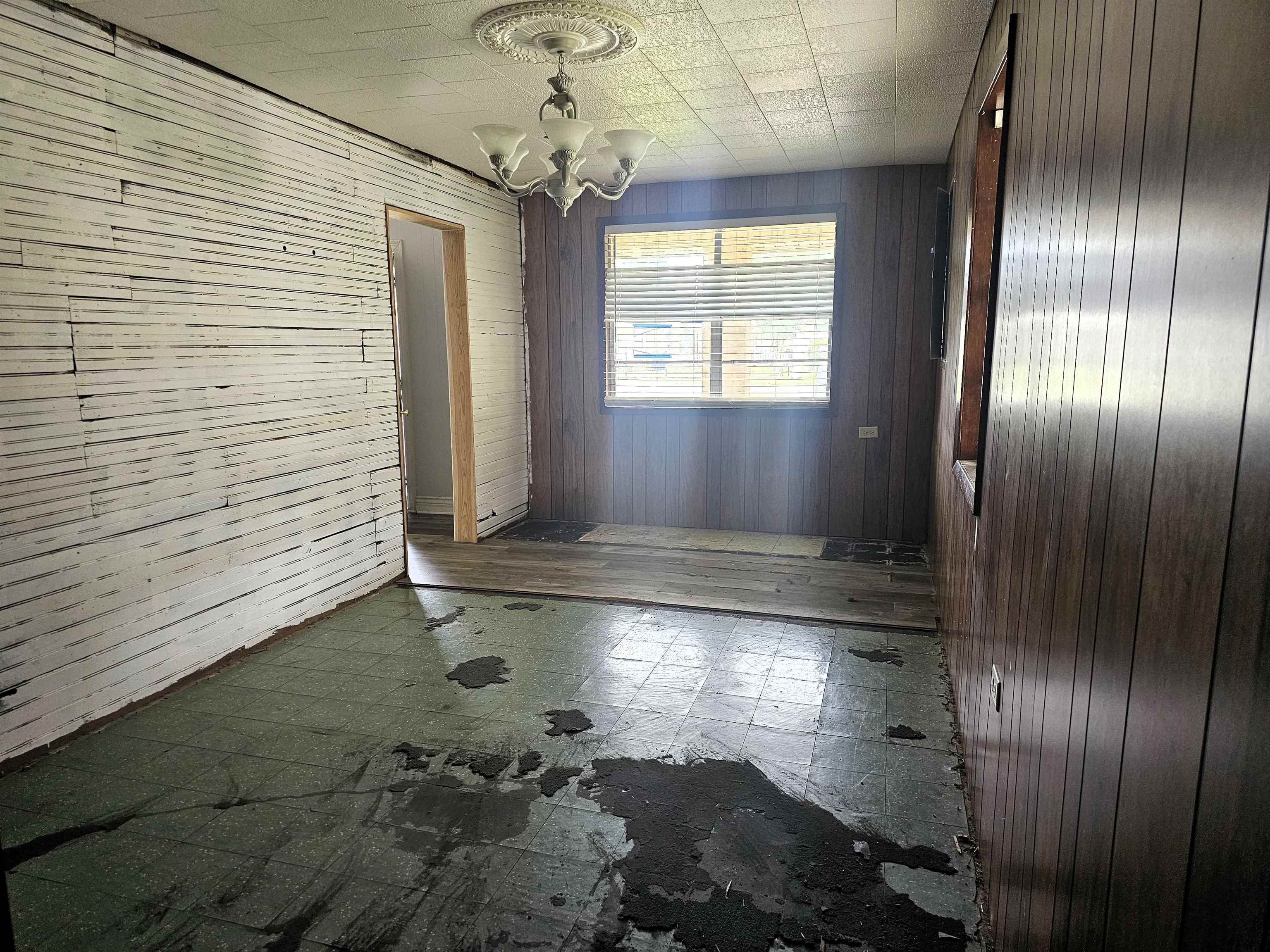 904 Tiger Dr