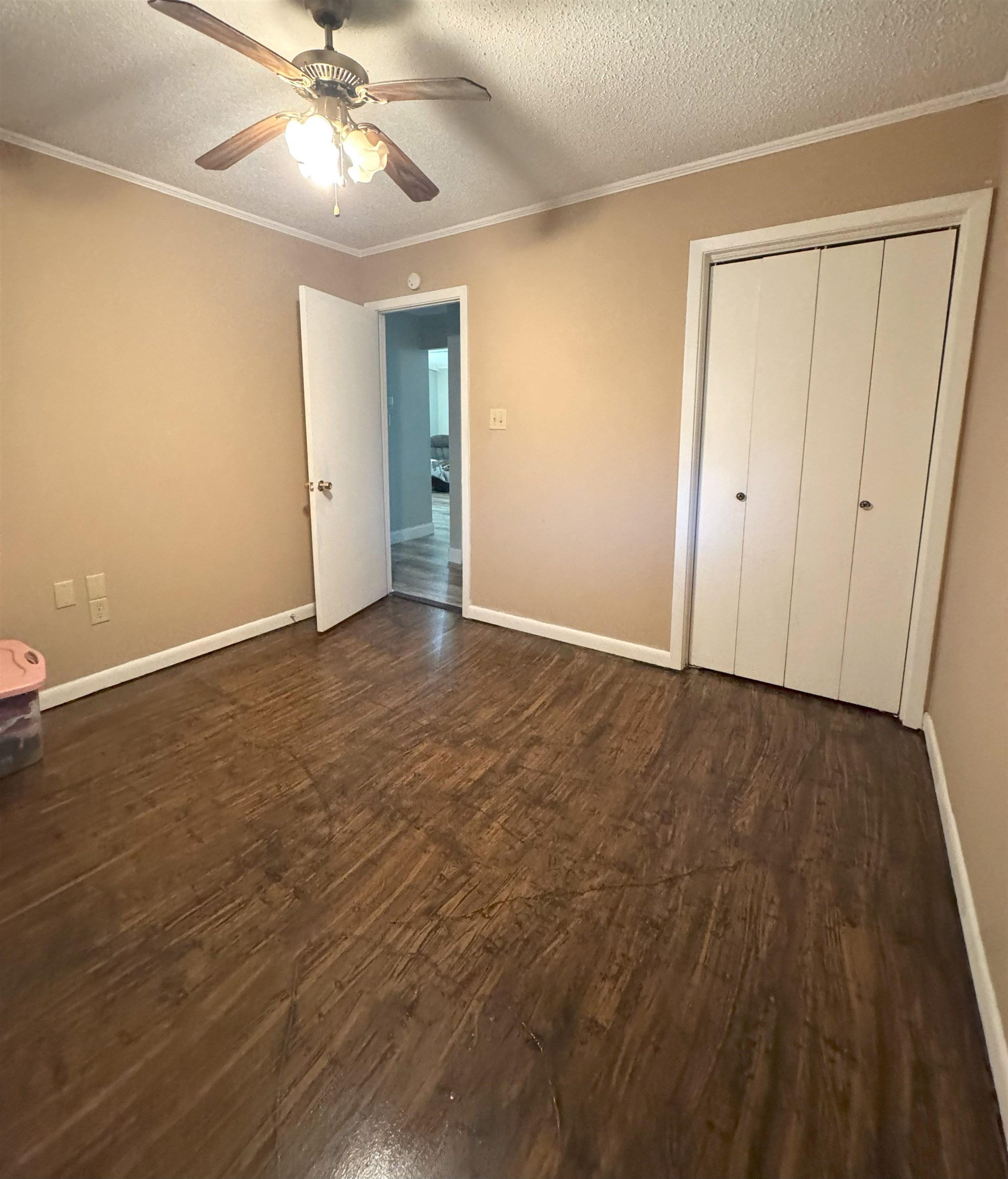 3007 Pinewood Circle
