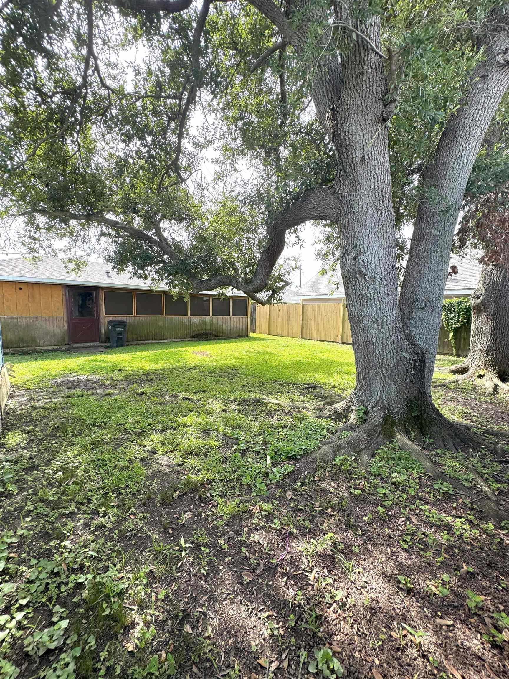 3007 Pinewood Circle