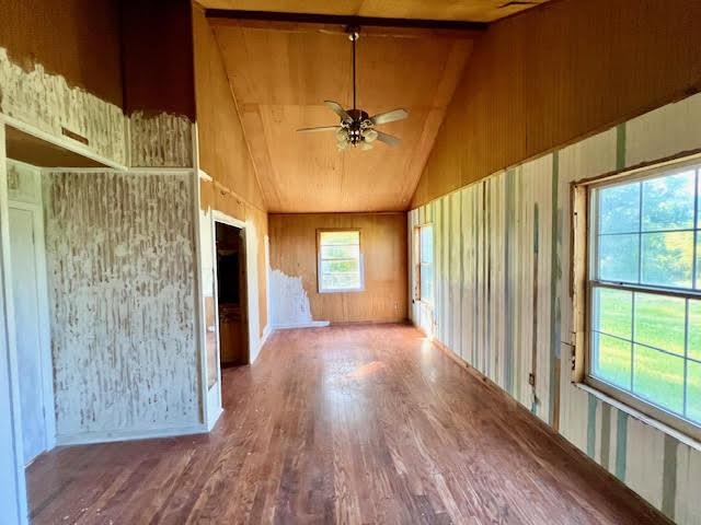 141 Ponderosa Ln