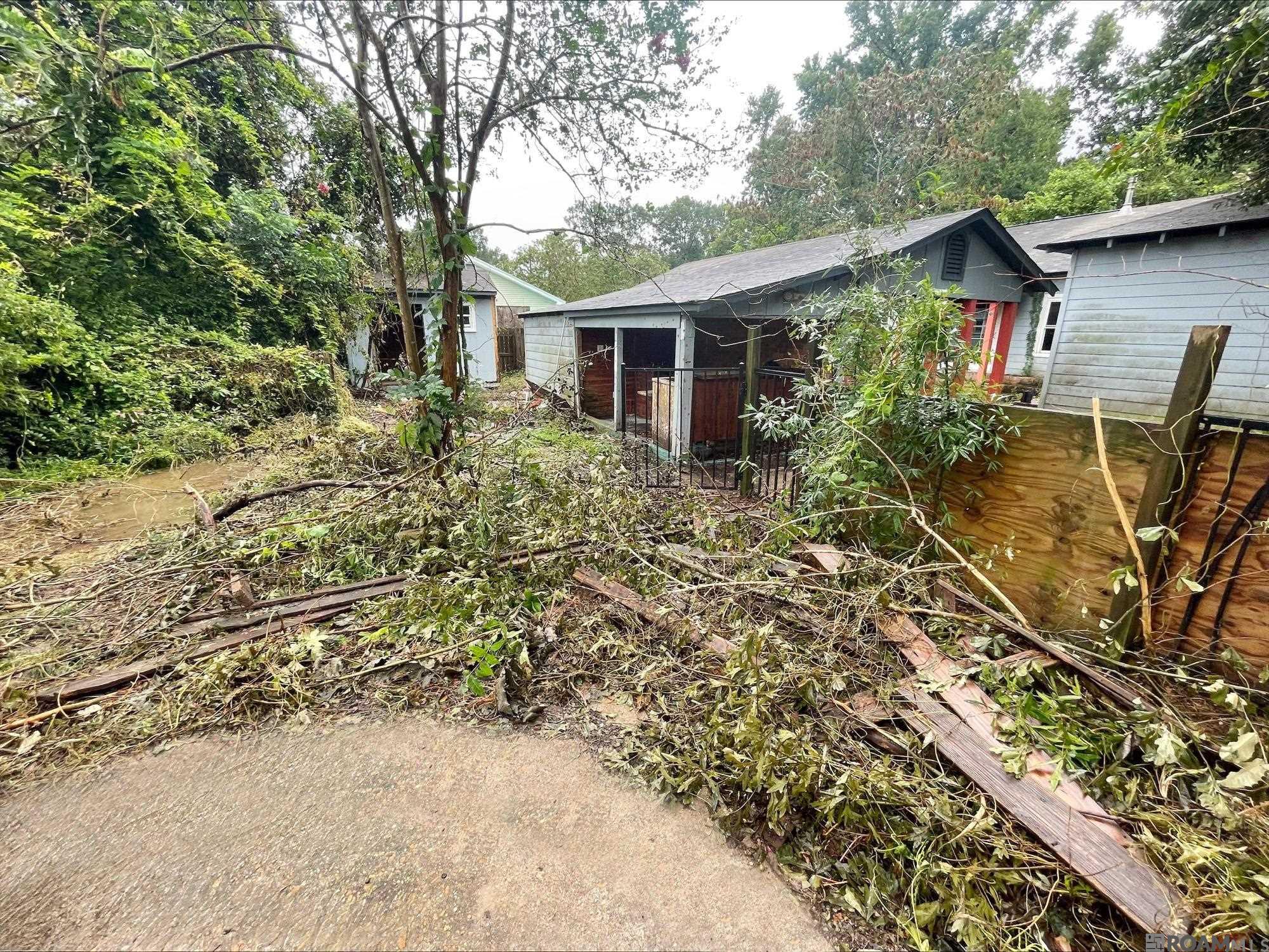 4761 Camellia