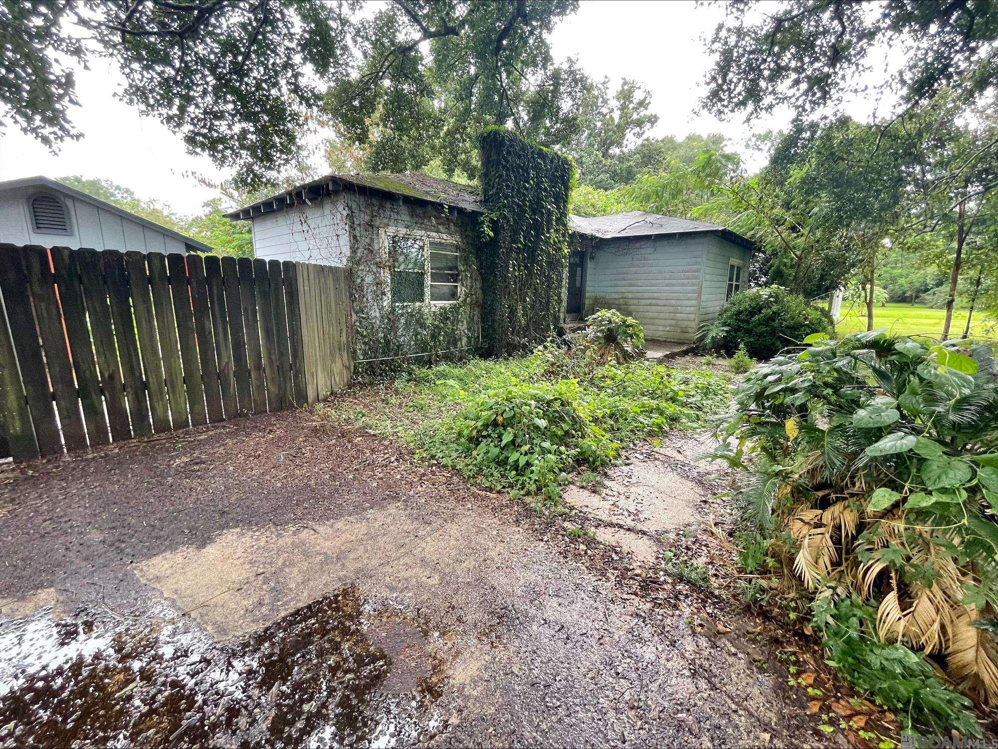4761 Camellia
