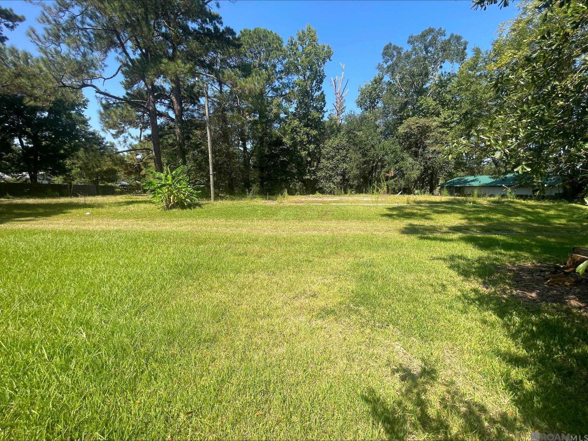 15085 Plank Rd