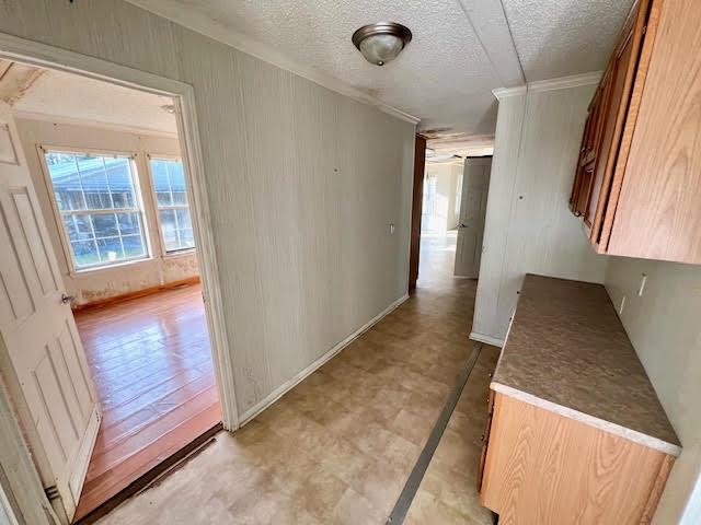 119 Beniot Crossing