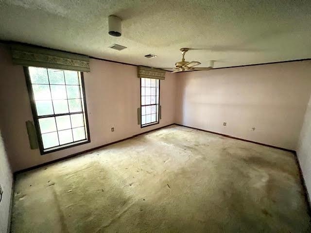 203 Cedar Tree Drive