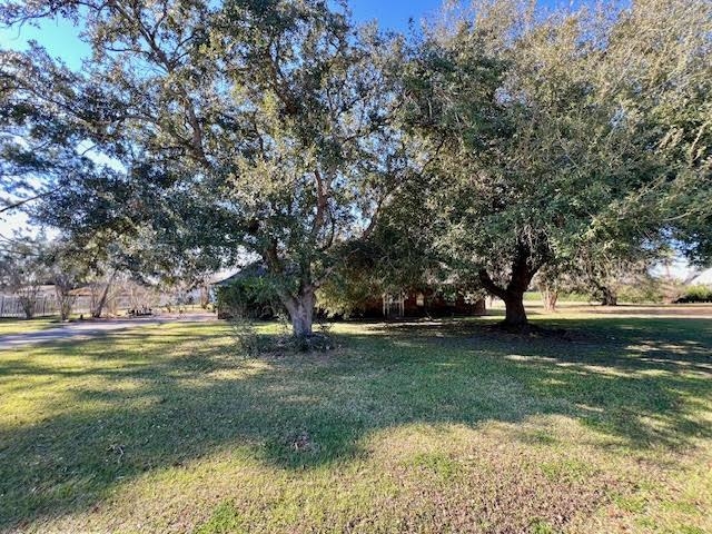 203 Cedar Tree Drive