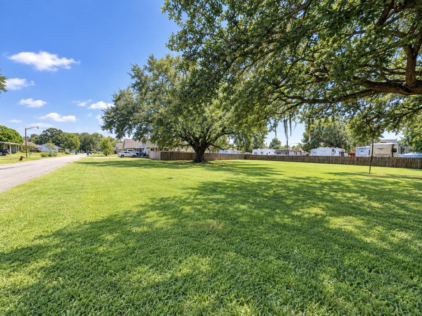 Expansive green yard beneath a spreading oak tree, bordered by a wooden fence and residential street.
