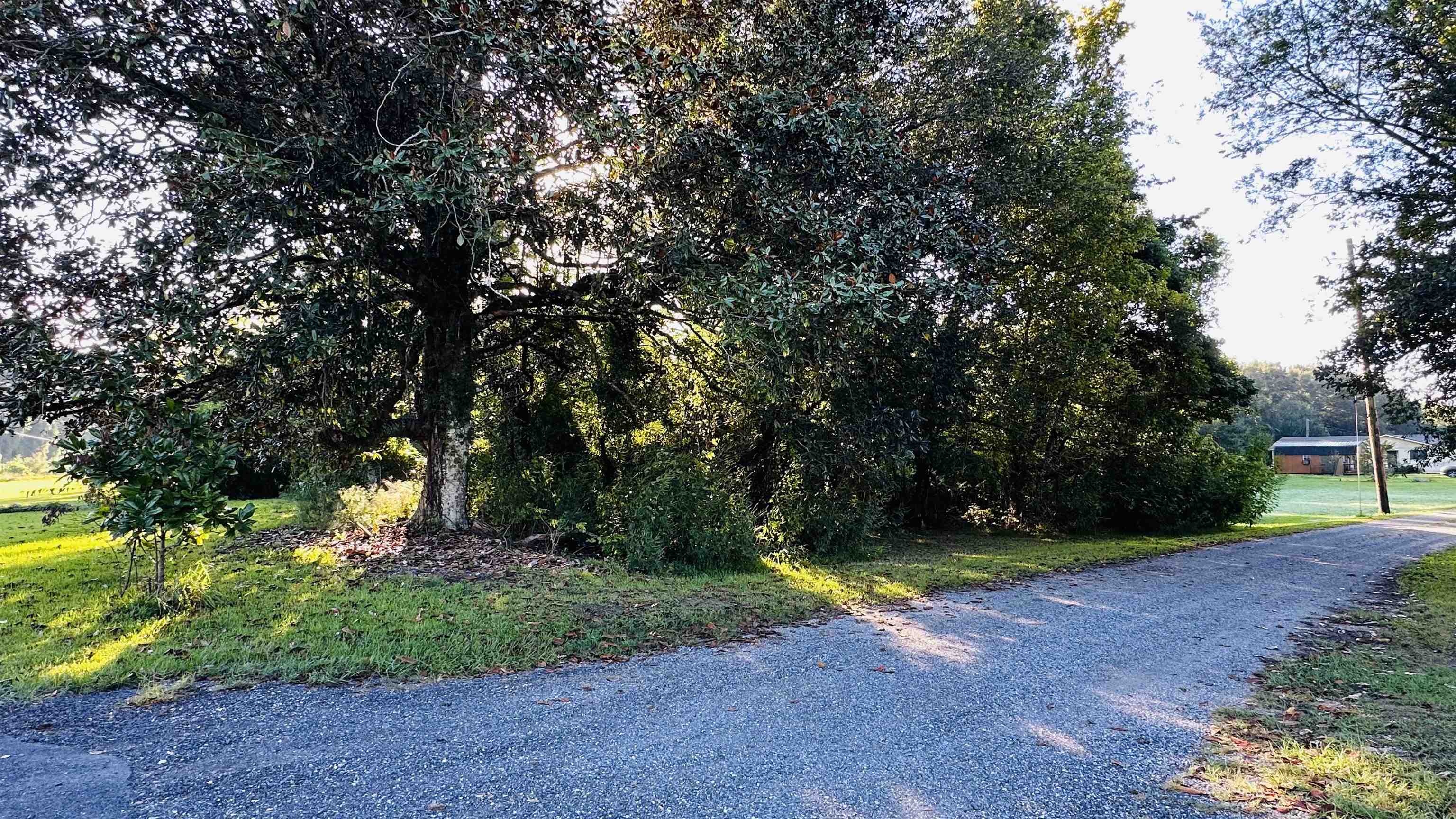 1119 Highway 662