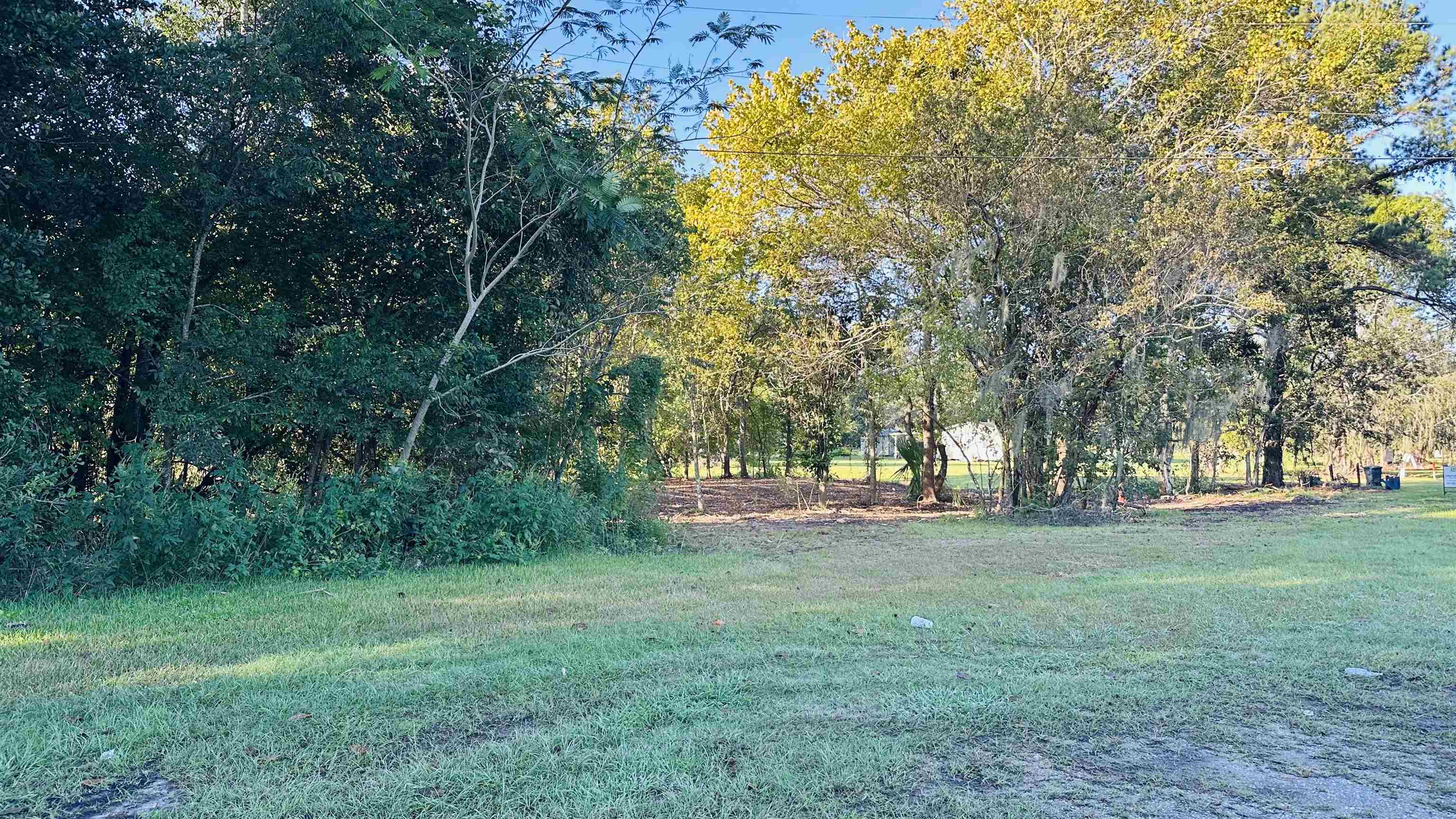 Vacant grassy lot bordered by dense trees, with utility lines overhead.