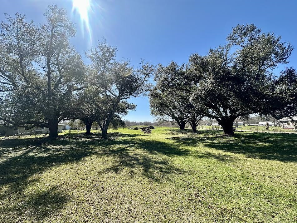 302 Lower Country Drive