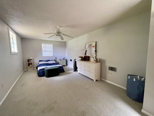 206 Back Project Road