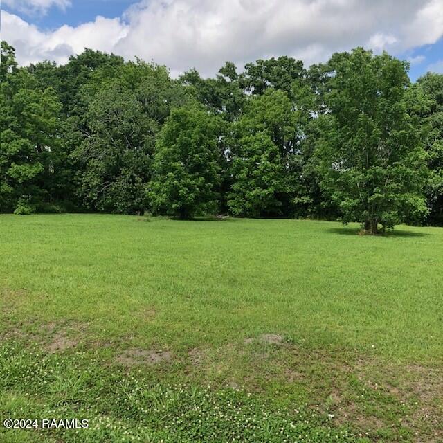 264 Easy Street