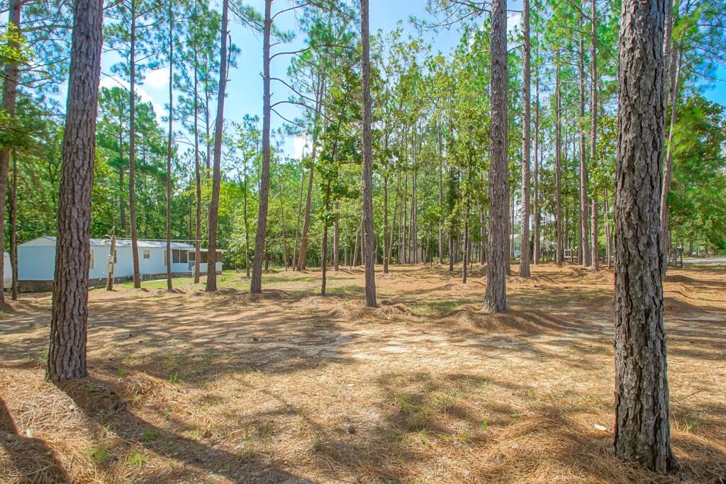64226 DULUTH POINT Road