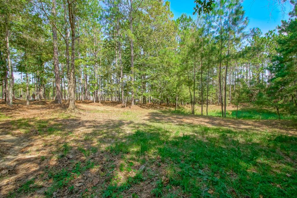 64226 DULUTH POINT Road