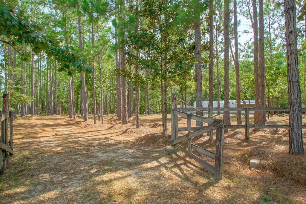 64226 DULUTH POINT Road