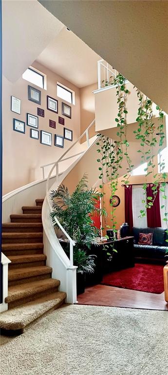 1326 LAKE FRANCES Drive