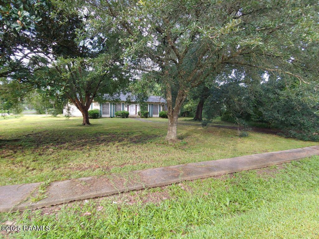 4000 Dalbor Street