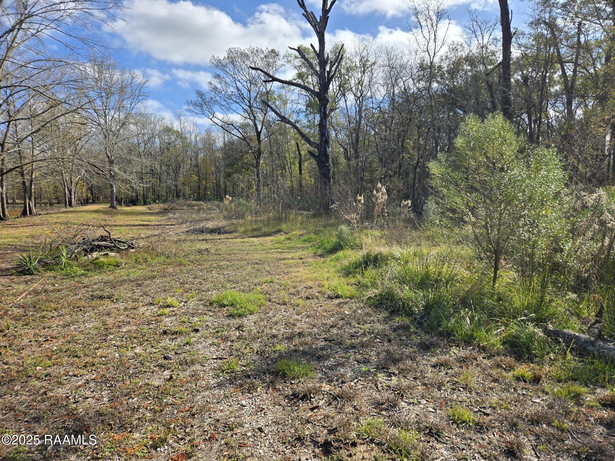 1212 N Wilderness Trail Trail