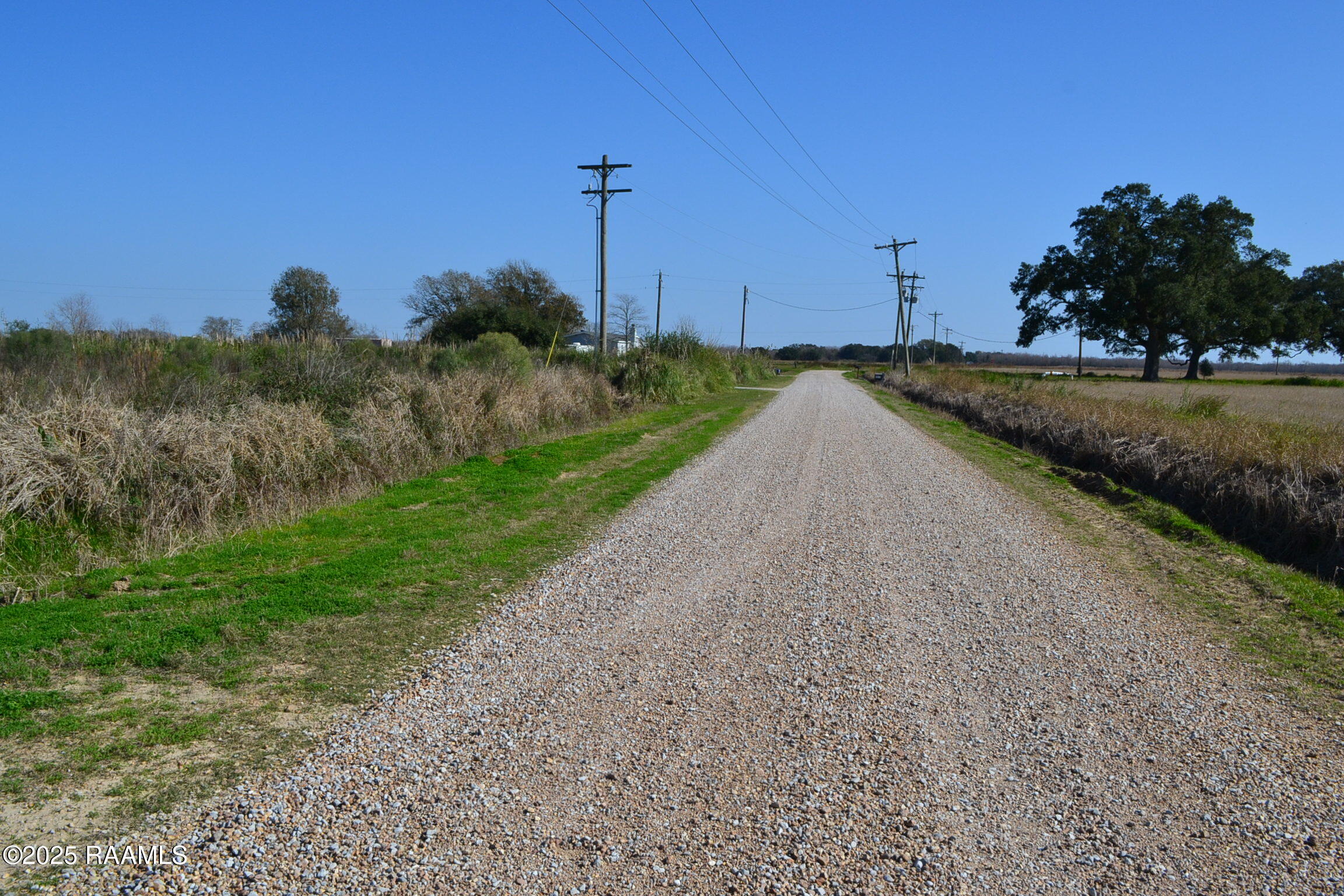 Simon Road