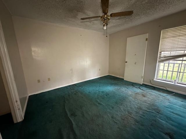 7432 BARBARA COHN Place