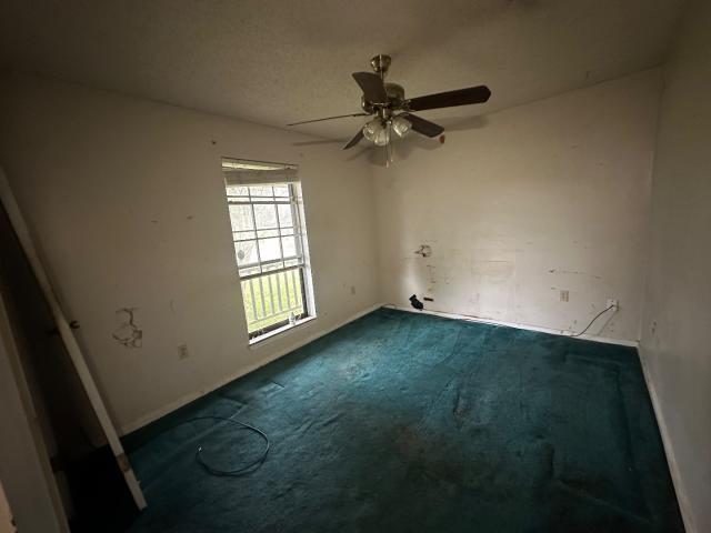 7432 BARBARA COHN Place