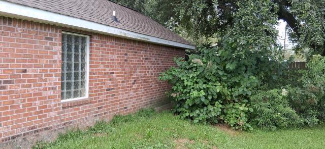 433 E MAPLE Loop