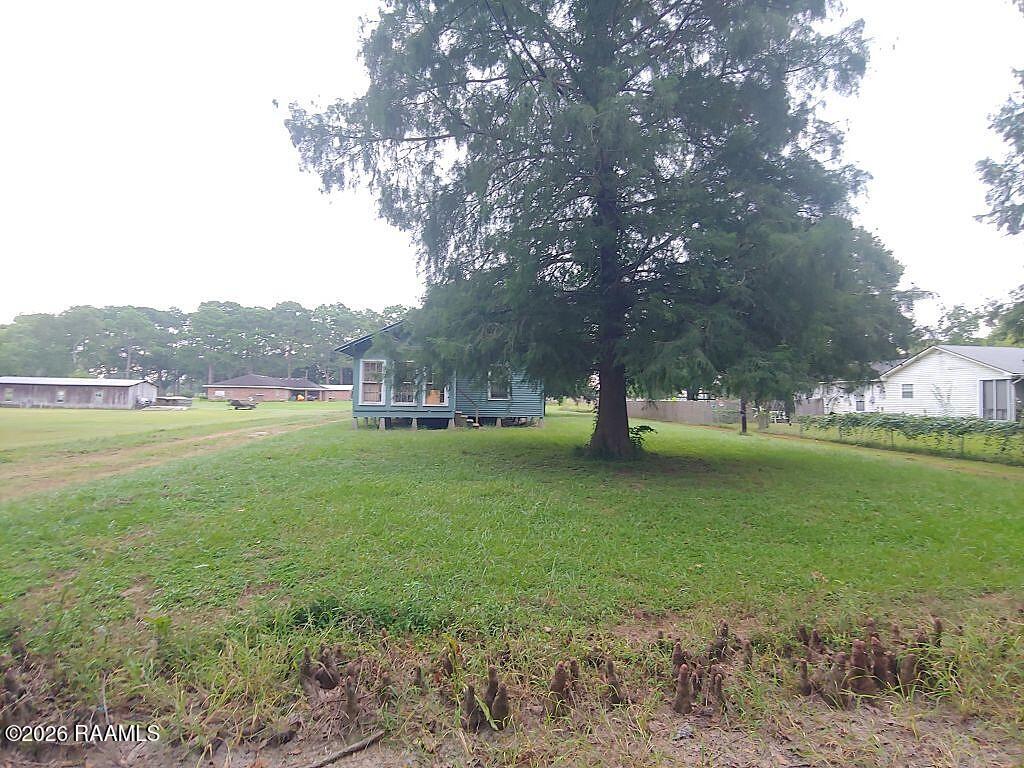 Blue house on a grassy lot beneath a large mature tree.