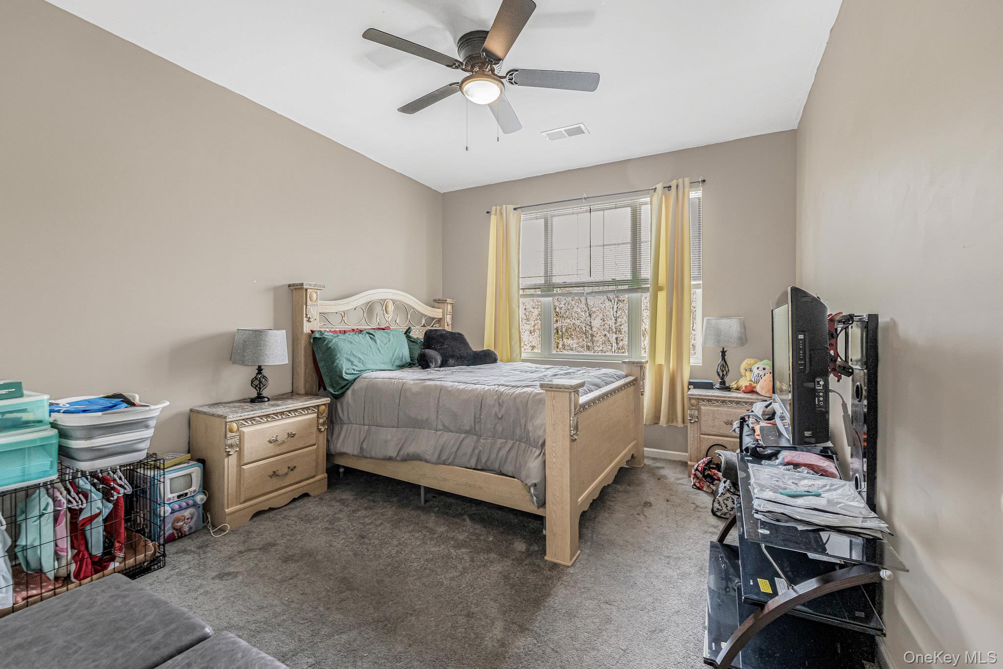 19 Magnolia Park Road