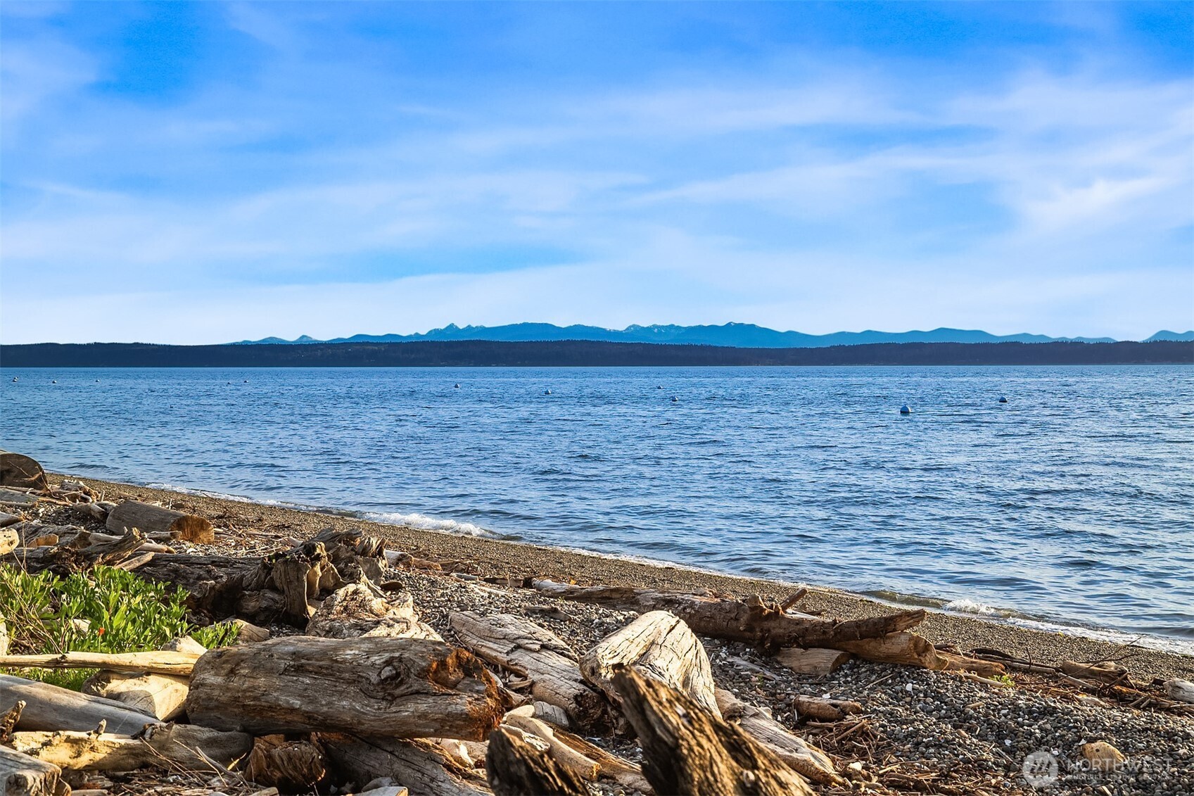 309 Seascape Drive