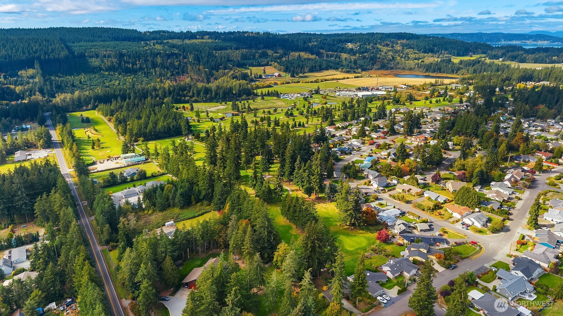 Aerial view of a wooded neighborhood and golf course, with distant water on the horizon.