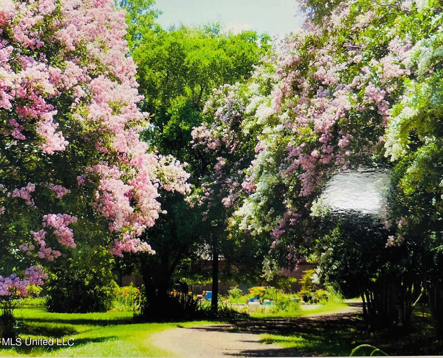 5607 County Road 145