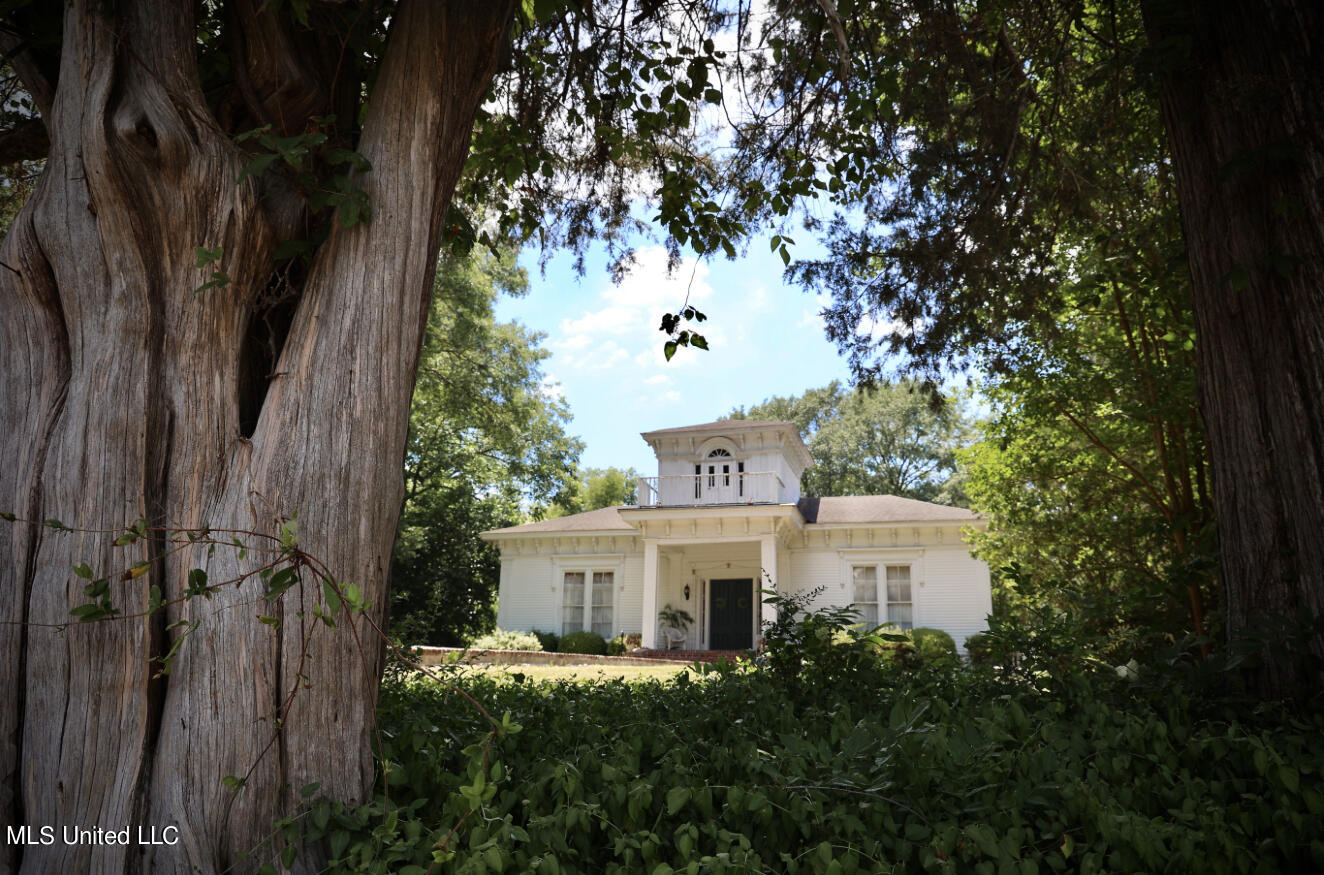 503 Lexington Street