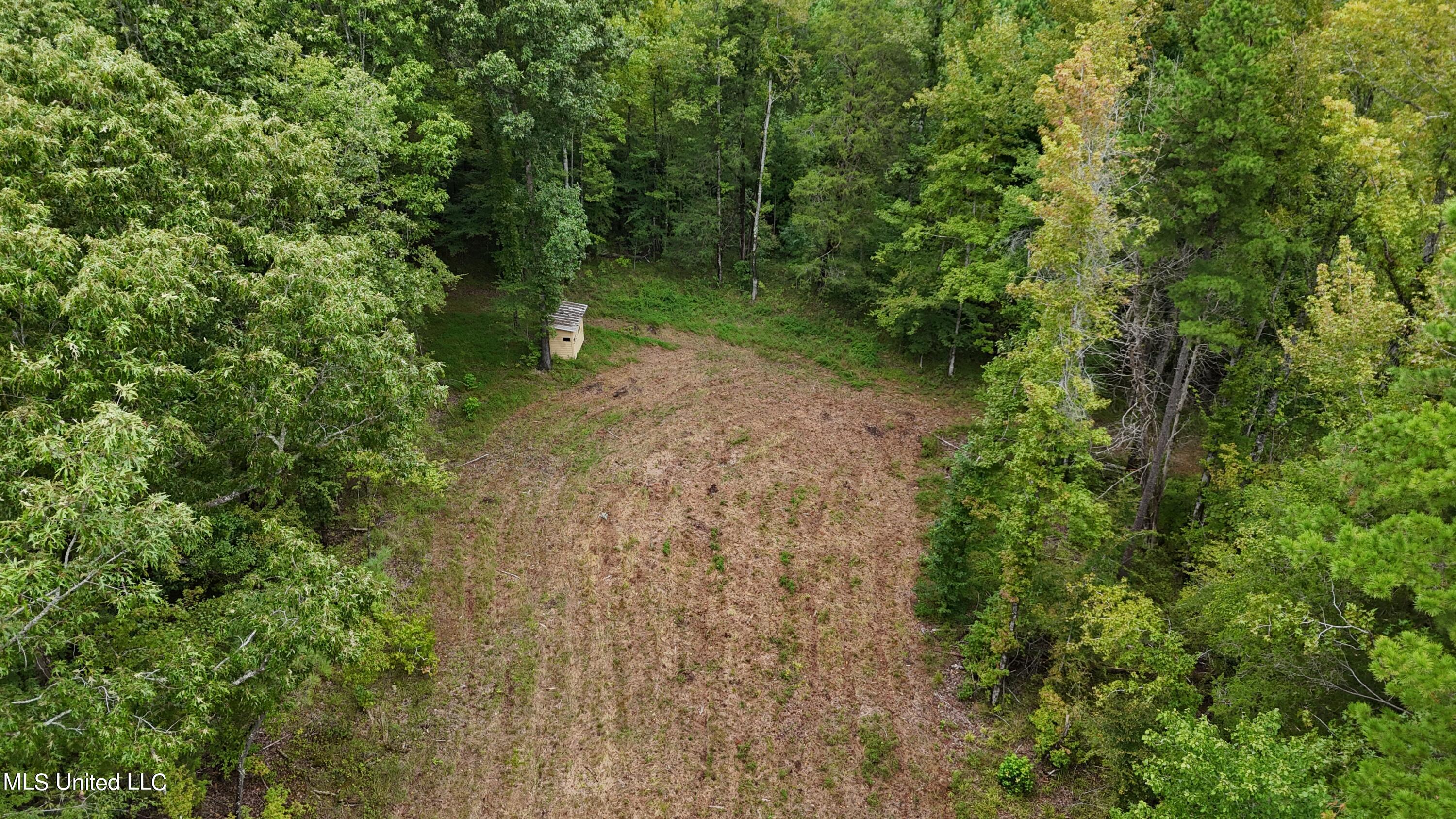 County Road 207