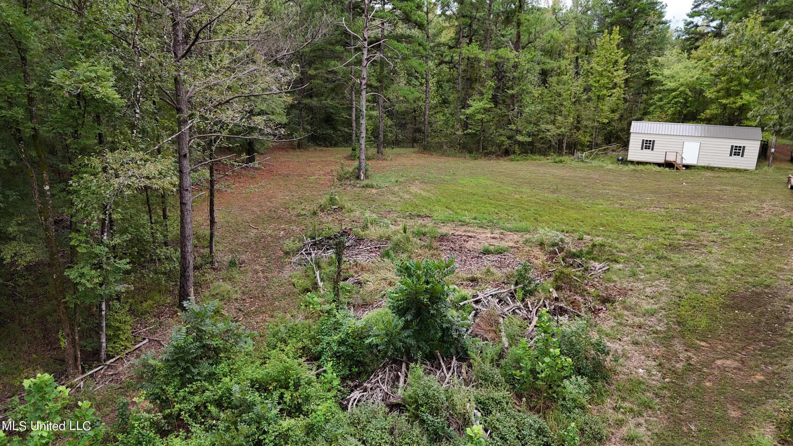 County Road 207