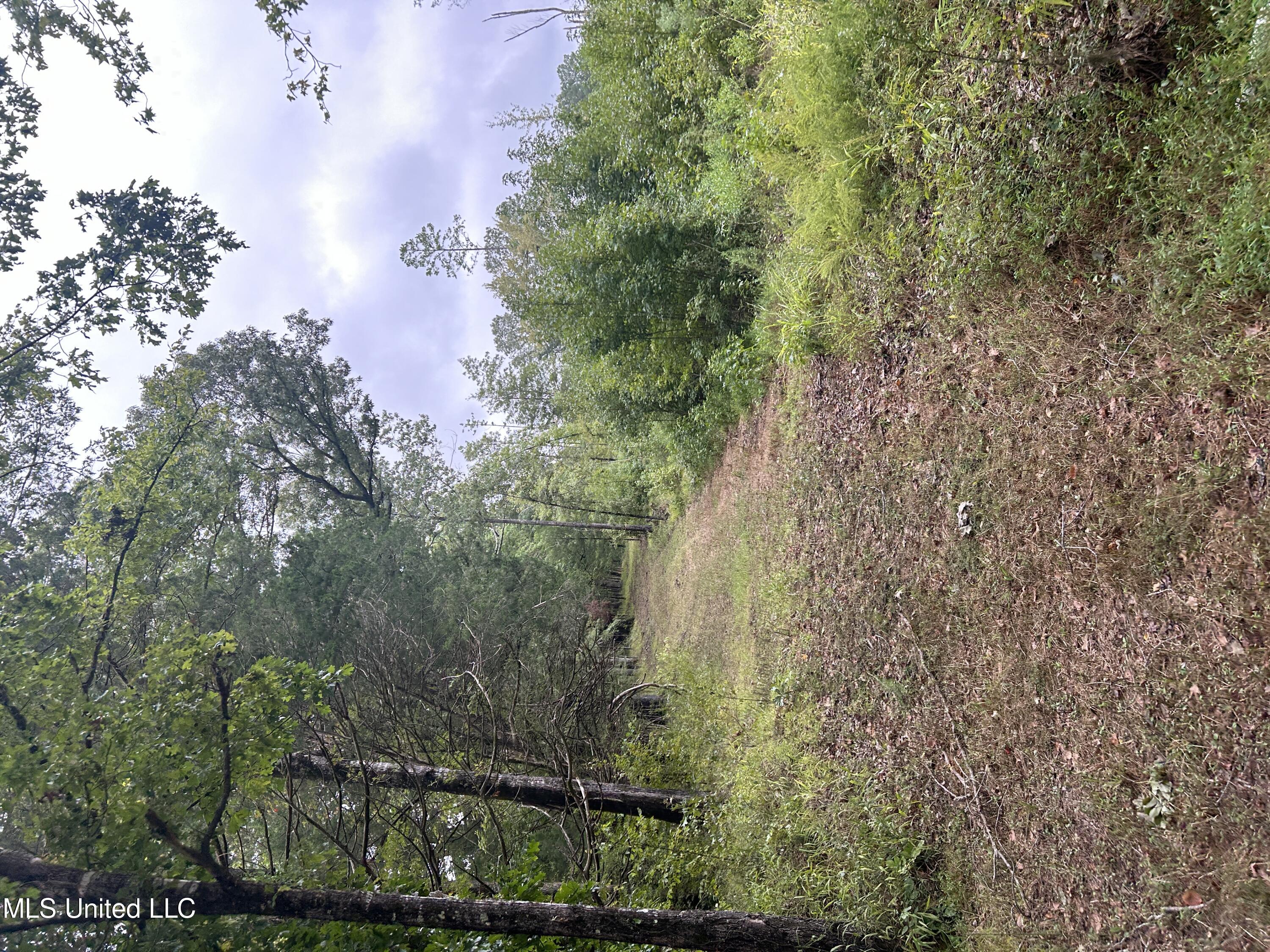 County Road 207