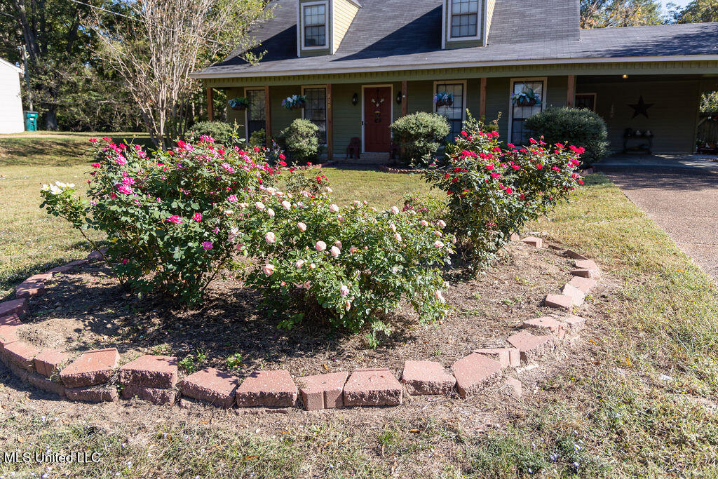 509 W West Jeff Davis Avenue