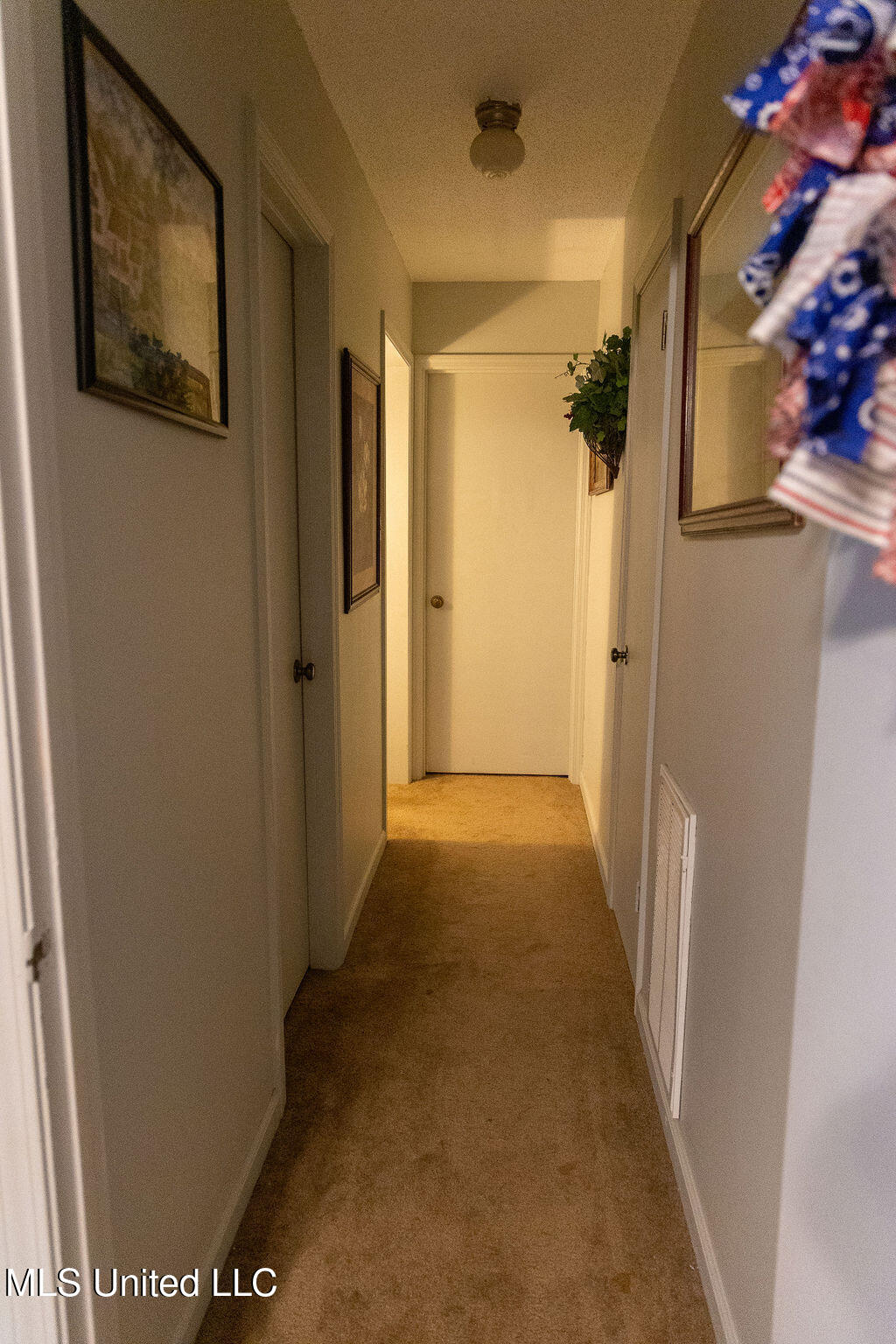 509 W West Jeff Davis Avenue