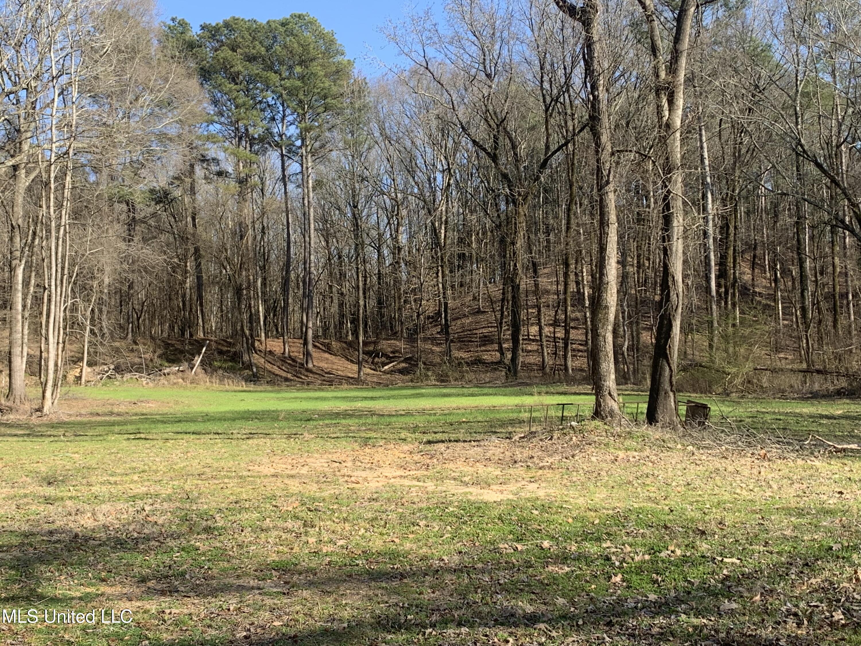 1316 County Road 193