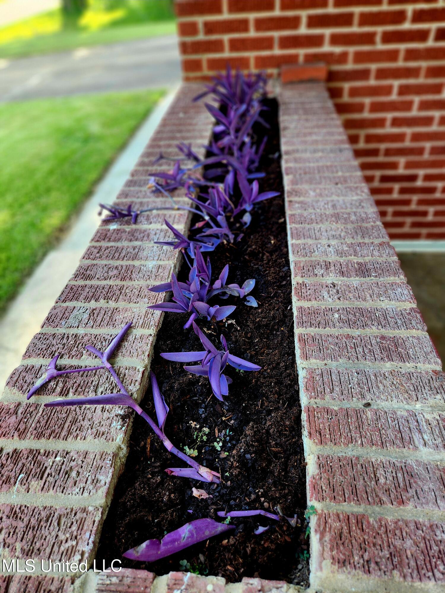 1634 Wilhurst Street