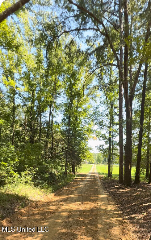 3286 County Road 83, Lots, 44,45,46, McCarley